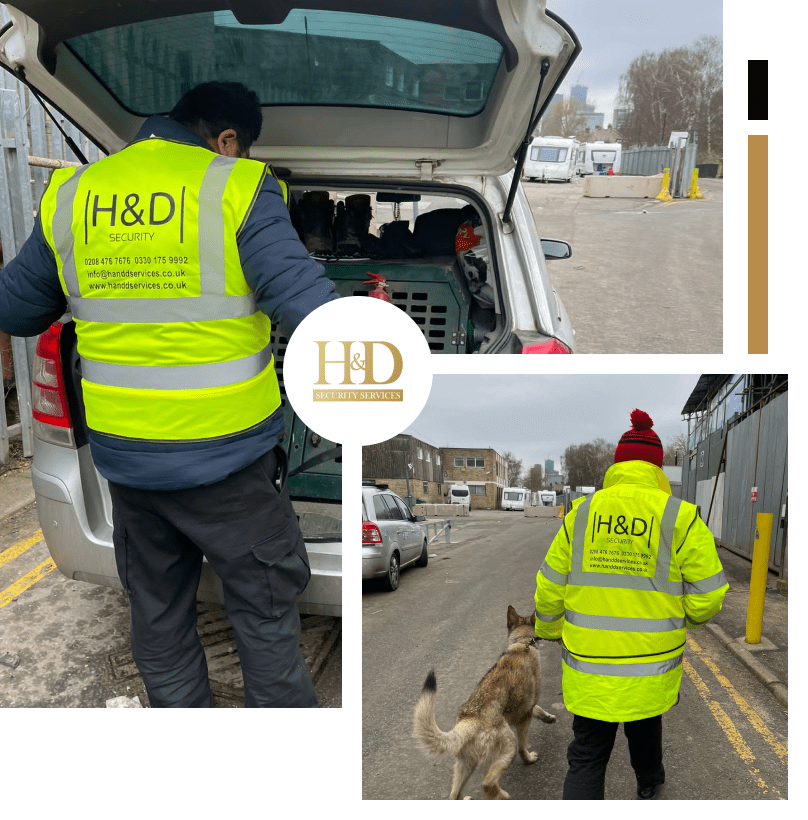 H&D Security