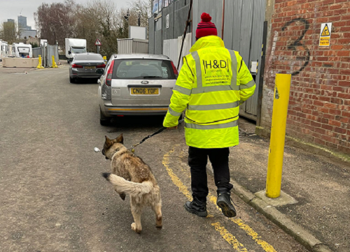 guard-with-dog